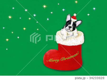 クリスマスブーツの中のフレンチブルドック＿横イチ 34233020