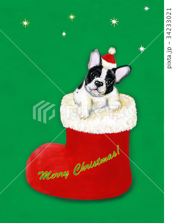クリスマスブーツの中のフレンチブルドッグ＿縦イチ 34233021
