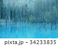 青い池 34233835