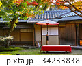 紅葉の下のお茶席 34233838
