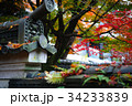 紅葉と鬼瓦 34233839