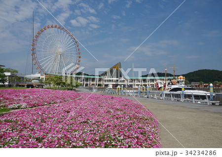 ラグーナ蒲郡 花とフェステバルマーケットの写真素材