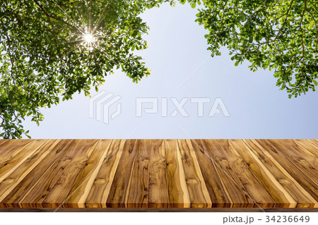 wooden board space platform with tree branches wooden board space platform with tree branches 34236649