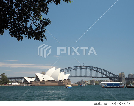 シドニーのオペラハウスとハーバーブリッジ 34237373