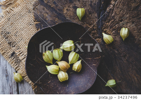 Ground Cherries Ground Cherries 34237496