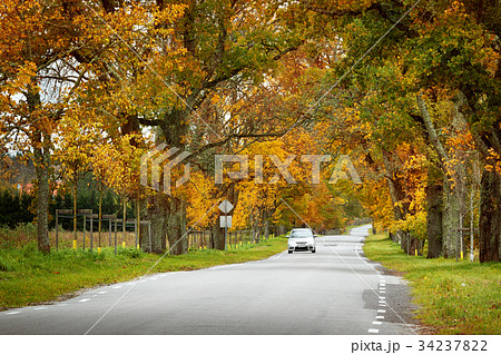 alley in autumn alley in autumn 34237822