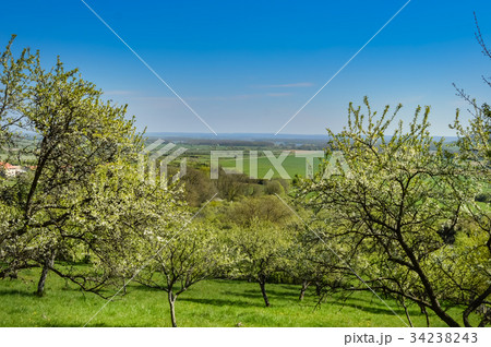 A view of the countryside in the Meuse 34238243