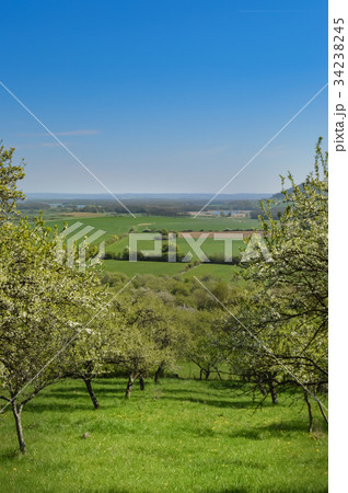A view of the countryside in the Meuse 34238245