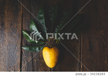 Annona Reticulata Fruits 34238265