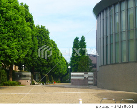 強豪！早稲田実業高等学校！ 34239051