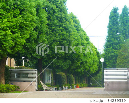 強豪!早稲田実業高等学校! 強豪!早稲田実業高等学校! 34239559