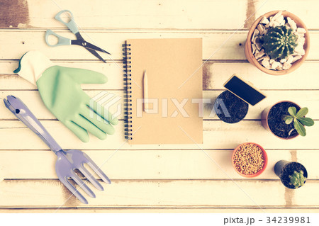 Flat lay gardening desk with Cactus ,glove ,fork, Flat lay gardening desk with Cactus ,glove ,fork, 34239981