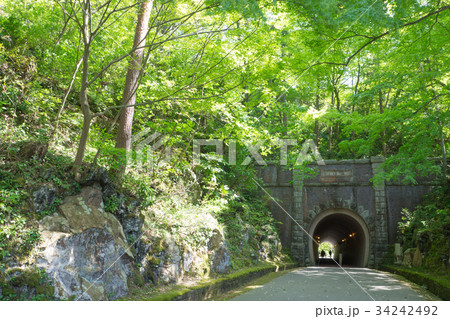 弥彦公園のトンネル 34242492