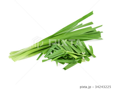 Garlic chives isolated on white background 34243225