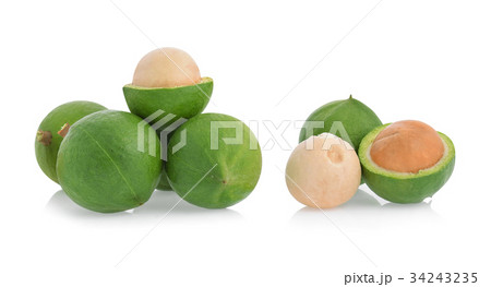 Macadamia nut isolated on white background. 34243235