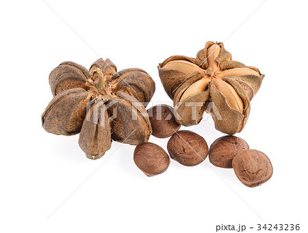 sacha inchi seed on white background 34243236