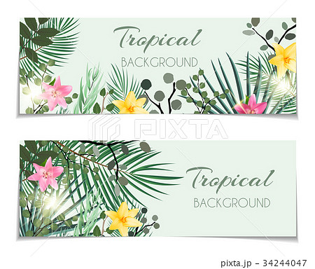 Abstract Natural Tropical Gift Voucher, Discount Abstract Natural Tropical Gift Voucher, Discount 34244047