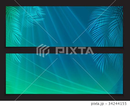 Palm Leaf Vector Background Illustration 34244155