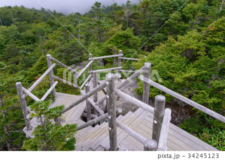 【山梨県】国師ヶ岳・夢の庭園の階段 34245123