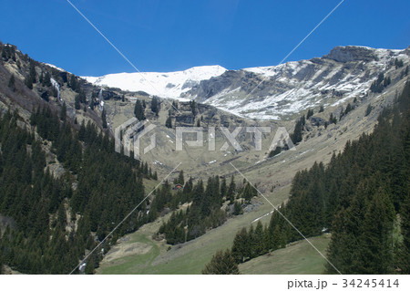 スイス スイス 34245414