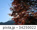 青空と紅葉イメージ 34250022