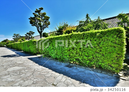 松阪　御城番屋敷 34250116