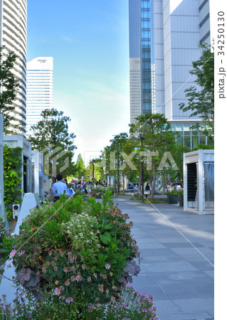 全国都市緑化よこはまフェア 34250130