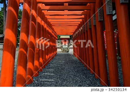 勝沼神社　青梅市勝沼 34250134