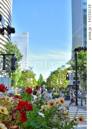 全国都市緑化よこはまフェア 34250138