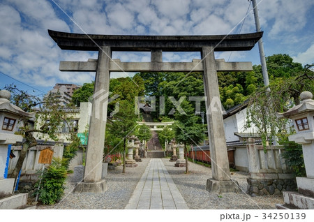 住吉神社　青梅市住江町 34250139