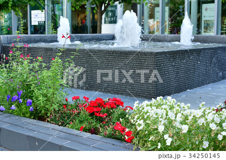 全国都市緑化よこはまフェア 全国都市緑化よこはまフェア 34250145