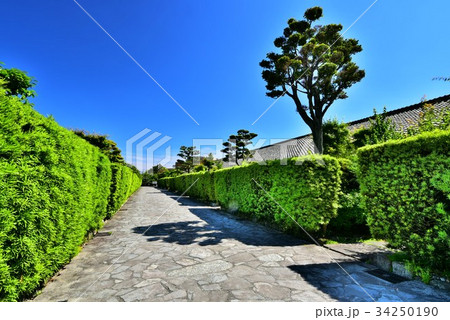 松阪　御城番屋敷 34250190