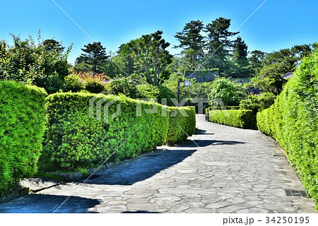 松阪　御城番屋敷 34250195