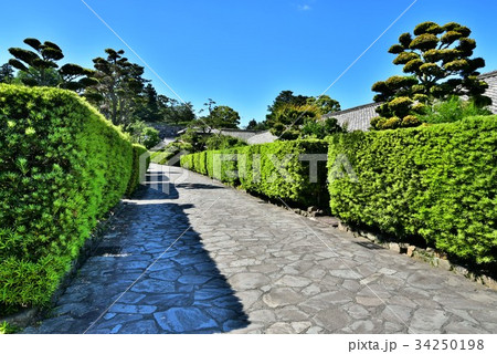 松阪　御城番屋敷 34250198