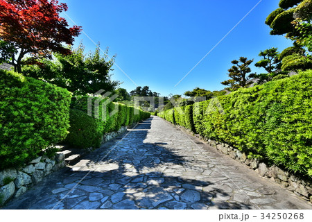 松阪　御城番屋敷 34250268