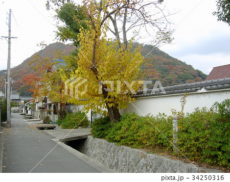 たつの市　赤とんぼ　醤油の街 34250316