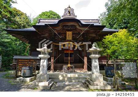 住吉神社 青梅市住江町 住吉神社 青梅市住江町 34250455