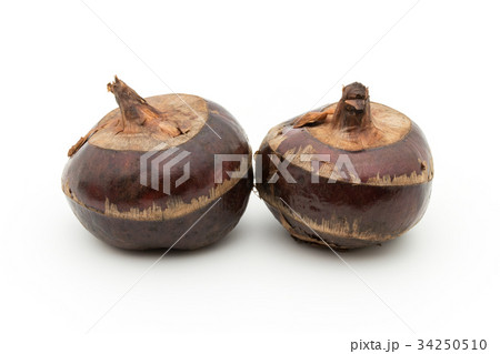シログワイ:Water chestnut 34250510