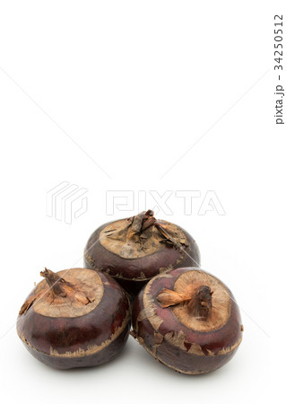シログワイ:Water chestnut シログワイ:Water chestnut 34250512