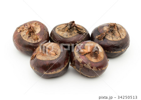 シログワイ:Water chestnut 34250513