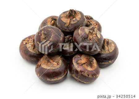シログワイ:Water chestnut 34250514