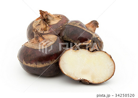 シログワイ:Water chestnut 34250520