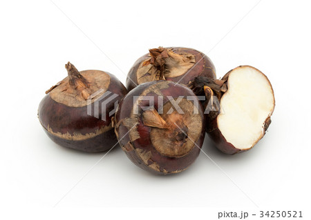 シログワイ:Water chestnut 34250521