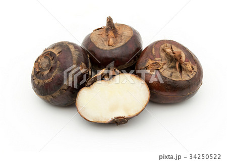 シログワイ:Water chestnut シログワイ:Water chestnut 34250522