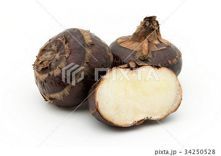 シログワイ:Water chestnut シログワイ:Water chestnut 34250528