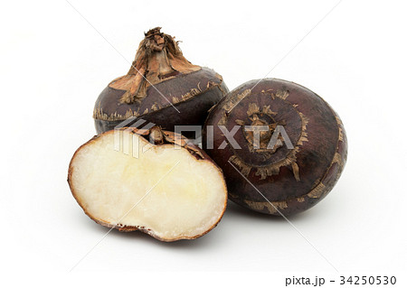 シログワイ:Water chestnut シログワイ:Water chestnut 34250530
