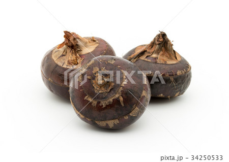 シログワイ:Water chestnut 34250533