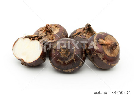 シログワイ:Water chestnut シログワイ:Water chestnut 34250534