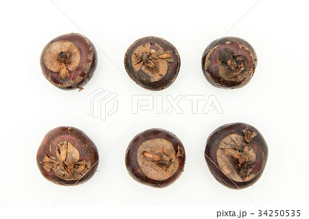 シログワイ:Water chestnut シログワイ:Water chestnut 34250535