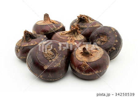 シログワイ:Water chestnut 34250539